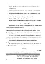 Konspekts 'Sabiedrisko attiecību kampaņas plāns muzikālajai apvienībai "Latgalīšu reps"', 5.