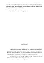 Referāts 'Holokausts Latvijā', 17.