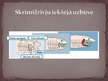 Prezentācija 'Skrimšļzivis', 7.
