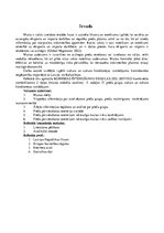 Referāts 'Preču grupas cukurs un cukura konditorejas izstrādājumi risku novērtēšana un kon', 3.