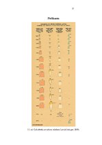 Referāts 'Preču grupas cukurs un cukura konditorejas izstrādājumi risku novērtēšana un kon', 21.