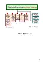 Referāts 'Eiropas Savienības kopējā lauksaimniecības politika', 29.