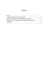 Referāts 'Mediācija kā civiltiesisko strīdu alternatīvs risinājums', 2.