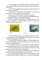 Referāts 'Dators - tā vēsture un attīstība', 7.