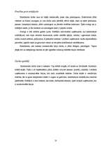 Prakses atskaite 'Viesmīļa un konditora prakses atskaite', 20.