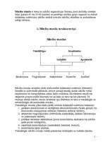 Referāts 'Stunda kā viena no mācību pamatformām', 1.