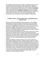 Referāts 'Stunda kā viena no mācību pamatformām', 2.