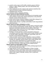 Referāts 'Stunda kā viena no mācību pamatformām', 4.