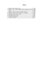 Referāts 'Stunda kā viena no mācību pamatformām', 10.