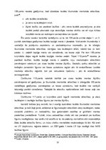 Diplomdarbs 'Laulības šķiršanas tiesiskie aspekti un mantas sadale šķiršanās gadījumā', 28.