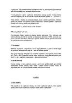 Konspekts 'Bilance un bilances posteņu novērtējums', 4.