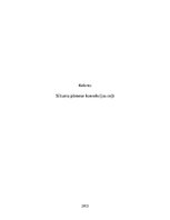 Referāts 'Siltuma pārnese konvekcijas ceļā', 1.