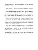 Referāts 'Siltuma pārnese konvekcijas ceļā', 5.