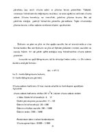 Referāts 'Siltuma pārnese konvekcijas ceļā', 14.