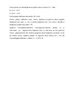 Referāts 'Siltuma pārnese konvekcijas ceļā', 19.