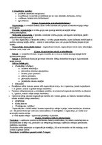 Konspekts 'Menedžments', 6.