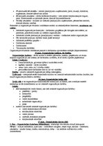 Konspekts 'Menedžments', 8.