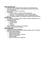 Konspekts 'Menedžments', 16.