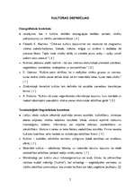 Konspekts 'Kultūras vēstures priekšmets', 2.