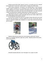 Konspekts 'Invalīds un sports. Ratiņkrēslu skeitbords', 2.