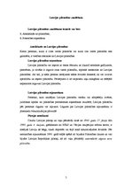 Referāts 'Latvijas Republikas pilsonība', 7.