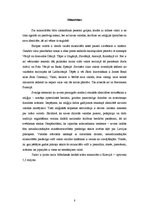 Referāts 'Latvijas Republikas pilsonība', 8.