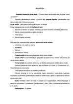 Referāts 'Traumu cēloņi sporta stundās', 2.