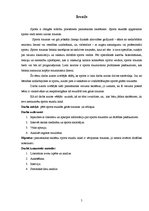 Referāts 'Traumu cēloņi sporta stundās', 5.