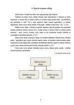Referāts 'Traumu cēloņi sporta stundās', 6.