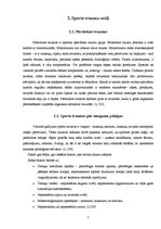 Referāts 'Traumu cēloņi sporta stundās', 7.