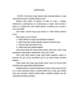 Diplomdarbs 'Līzinga tirgus dinamikas analīze un attīstības tendences Latvijā (2004.-2009.)', 2.