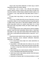 Diplomdarbs 'Līzinga tirgus dinamikas analīze un attīstības tendences Latvijā (2004.-2009.)', 13.