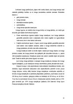 Diplomdarbs 'Līzinga tirgus dinamikas analīze un attīstības tendences Latvijā (2004.-2009.)', 23.