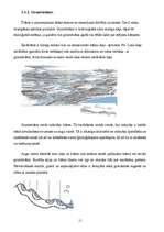 Referāts 'Dabas resursi, kā galvenā problēma vides izglītībā', 11.