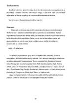 Referāts 'Dabas resursi, kā galvenā problēma vides izglītībā', 39.