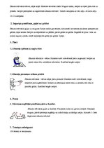 Konspekts 'Trenažieru zāles programma trim dienām', 5.