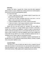 Prakses atskaite 'Prakses atskaite', 20.