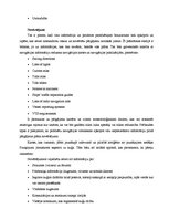 Prakses atskaite 'Prakses atskaite', 23.