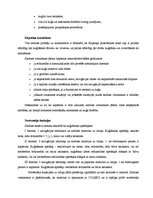 Prakses atskaite 'Prakses atskaite', 31.