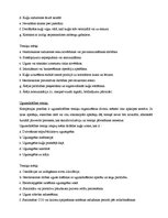 Prakses atskaite 'Prakses atskaite', 37.