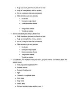 Prakses atskaite 'Prakses atskaite', 56.