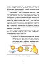 Referāts 'Klonēšana', 8.