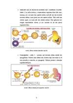 Referāts 'Klonēšana', 9.