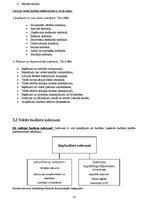 Referāts 'Valsts budžets', 11.