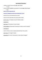 Referāts 'Valsts budžets', 19.