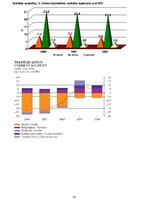Referāts 'Valsts budžets', 29.