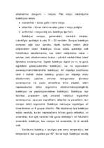 Referāts 'Baktērijas', 3.