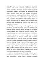 Referāts 'Baktērijas', 4.