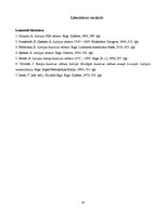 Referāts 'Reformācija Livonijā - historiogrāfisks apskats', 14.