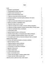 Prakses atskaite 'Prakses darbs finanšu analīzē', 2.